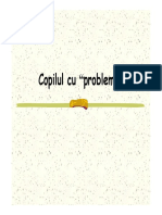 Curs Copil Cu Probleme PDF