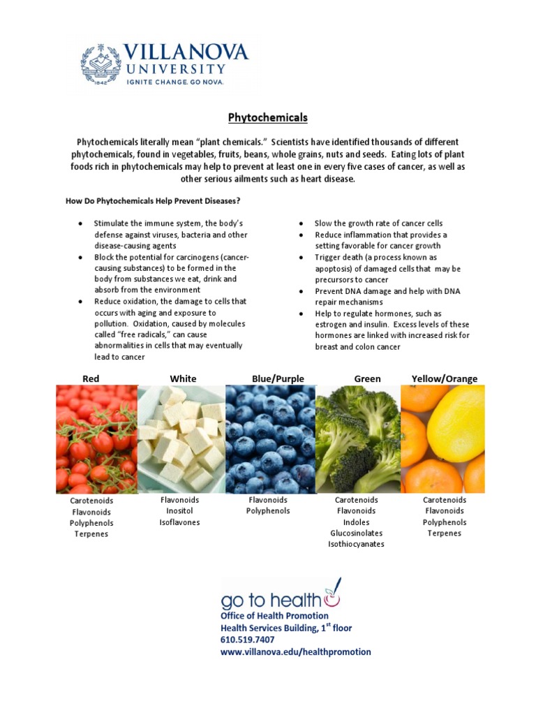 Phytochemicals - Final PDF | PDF | Soybean | Flavonoid