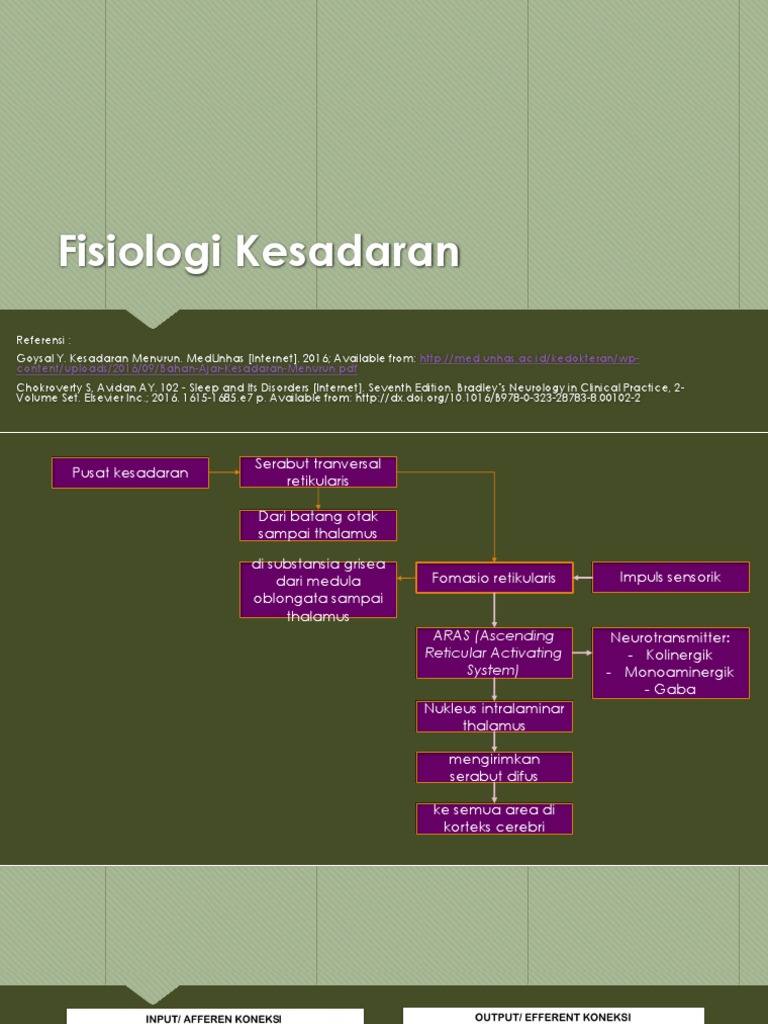 Fisiologi Kesadaran Pdf
