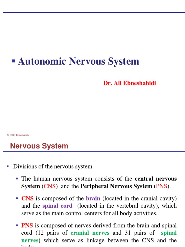 Chap 7 Autonomic Nervous System PDF | PDF | Autonomic Nervous System ...