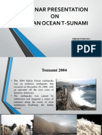 Indian Ocean T Sunami 2004