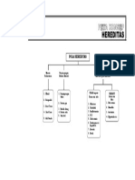 Peta Konsep Hereditas PDF