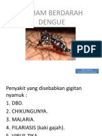 Demam Berdarah Dengue, 30122015