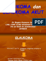 Kuliah IV Glaukoma