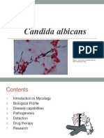 Candida Albicans: Figure 1. Skin Smear Candida Albicans WWW - Meddean.luc - Edu