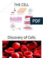 Cell Discovery