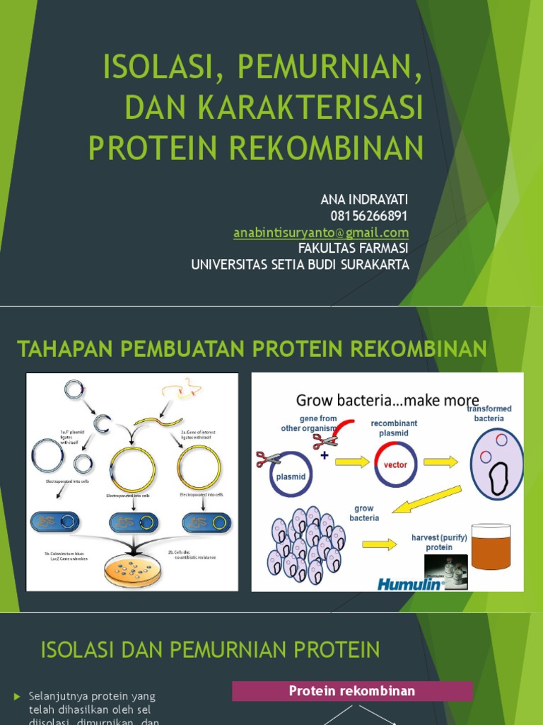 Isolasi, Pemurnian, Karakterisasi Protein Rekombinan | PDF
