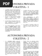 AUTONOMIA PRIVADA COLETIVA.ppt