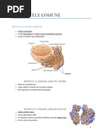 Organite