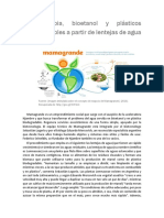 AGUA LIMPIA, BIOETANOL Y PLÁSTICOS BIODEGRADABLES.pdf