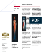  Divine Mercy Brochure