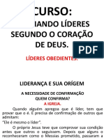 LIDERANÇA EFICAZ revisado