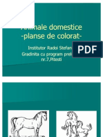 0animale Domestice Planse de Colorat