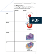 Worksheet - Levels of Organization PDF