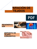 Reparacion de Tejidos