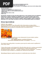 Receitas Ayurveda