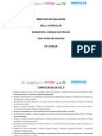 CCNN - IVCiclo - ISE PDF