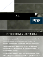 Infecciones Urinarias