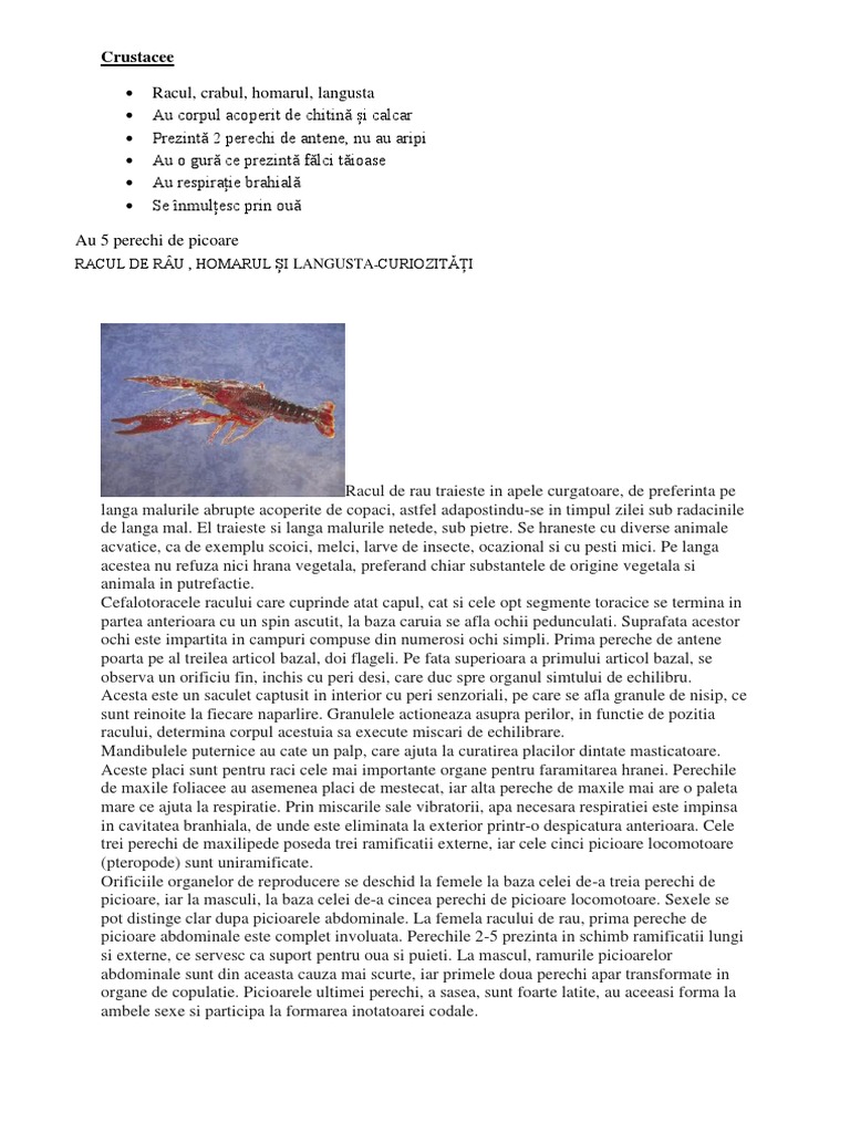 Racul de Râu Curiozitati | PDF