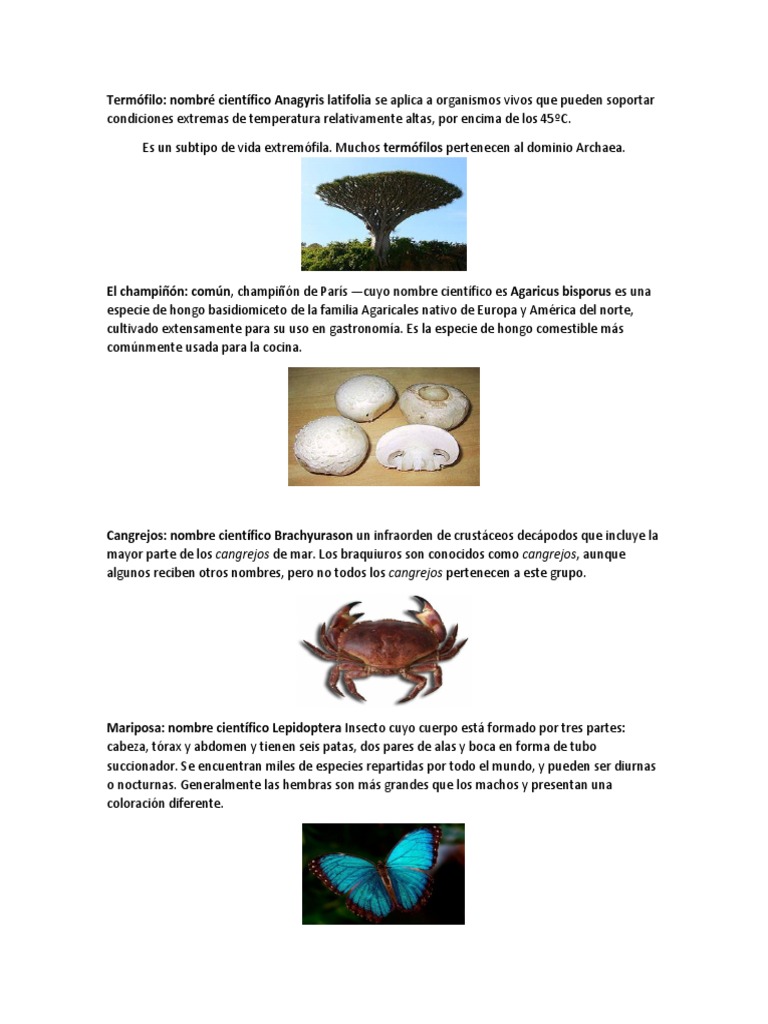 Termofilo Ciencias Naturales.. | PDF