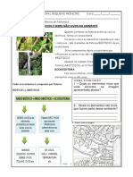 Seres Vivos e Seres Não Vivos No Ambiente