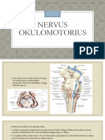 Nervus 3 Dan 4