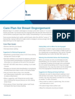 care-plan-for-breast-engorgement.PDF