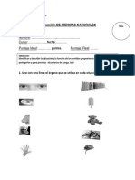 Evaluación 1 C.naturales