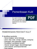 2b. Pemeriksaan Kulit