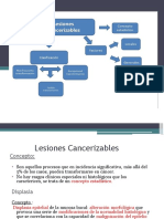 Cancerizables y Liquen.pdf
