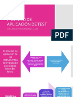 Proceso de Aplicacion de Los Test