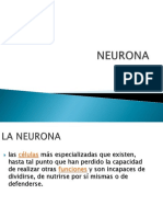Neuroa y Snc2019-1