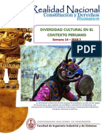 Diversidad cultural en el contexto peruano