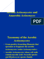 Aerobic Actinomycetes and Anaerob Actinomyces