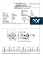 Motor 10 HP Mechurrio Sinco D