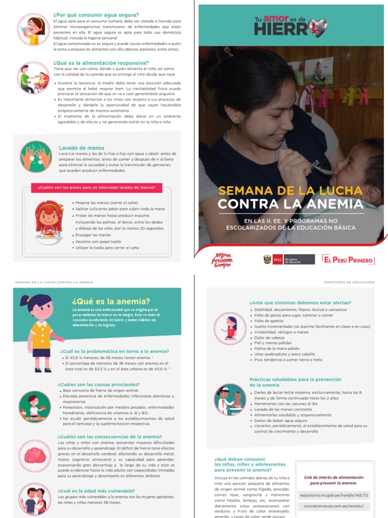 diptico-anemia.pdf | Lavado de manos | Medicina