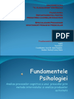 Fundamentele Psihologiei-Analiza Proceselor Cognitive La Prescolar