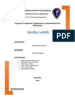 MB proyecto B.subtilis.docx