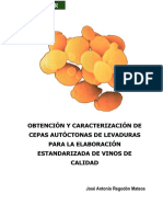 Dialnet-ObtencionYCaracterizacionDeCepasAutoctonasDeLevadu-212.pdf