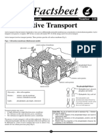 379893798-Active-Transport.pdf