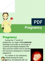 2.diet For Pregnant