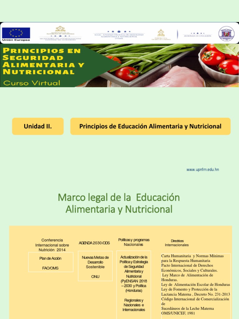 Principios de Educación Alimentaria | PDF | Nutrición | Dieta y nutrición
