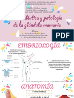 Propedeutica y Patologia de Mama