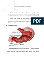 LP Gastritis