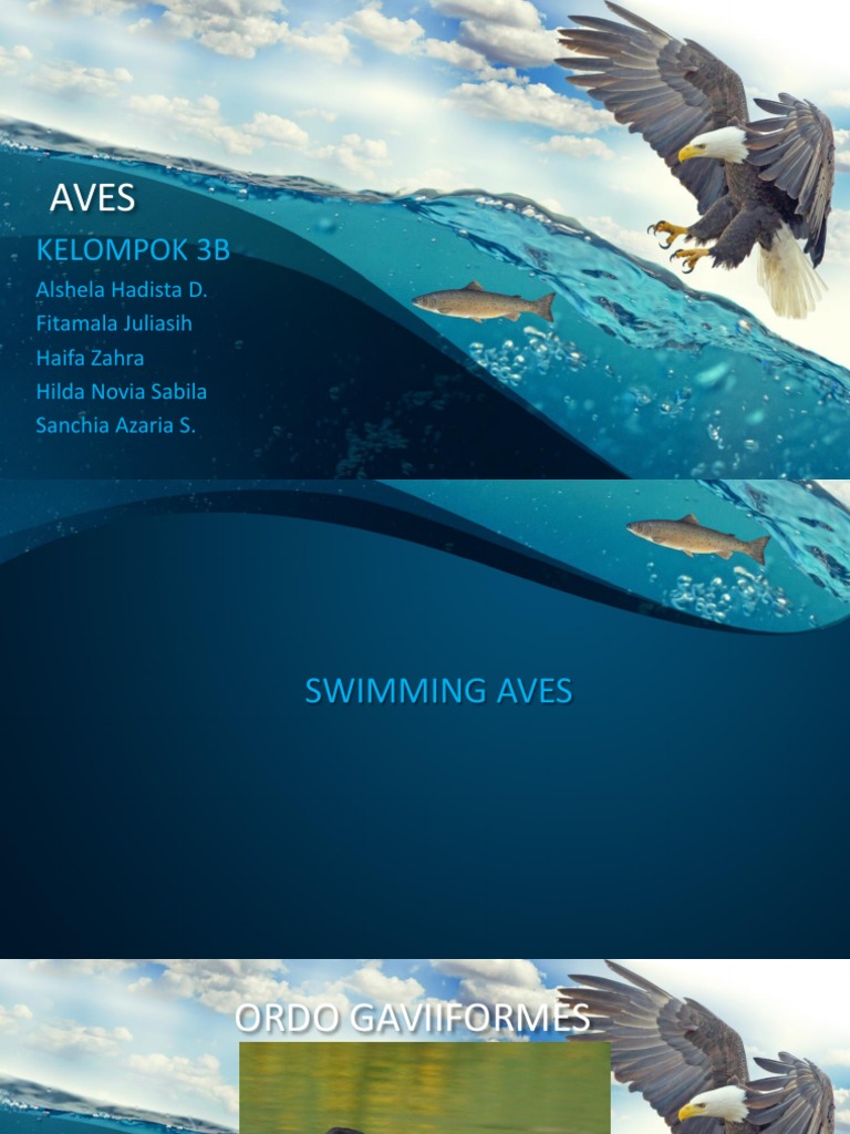 4400 Koleksi Hantu Elang Dan Alap-alap Dimasukkan Dalam Satu Ordo Yang Sama Yaitu Ordo Gratis