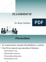 Esporozoarios 2 Plasmodium y Toxoplasma
