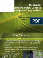 Cangkok, Stek, Enten PDF