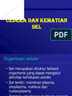 Cedera Dan Kematian Sel