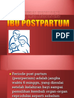 ADAPTASI ISOLOGIS POST PARTUM.ppt