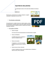 Importância das plantas.docx